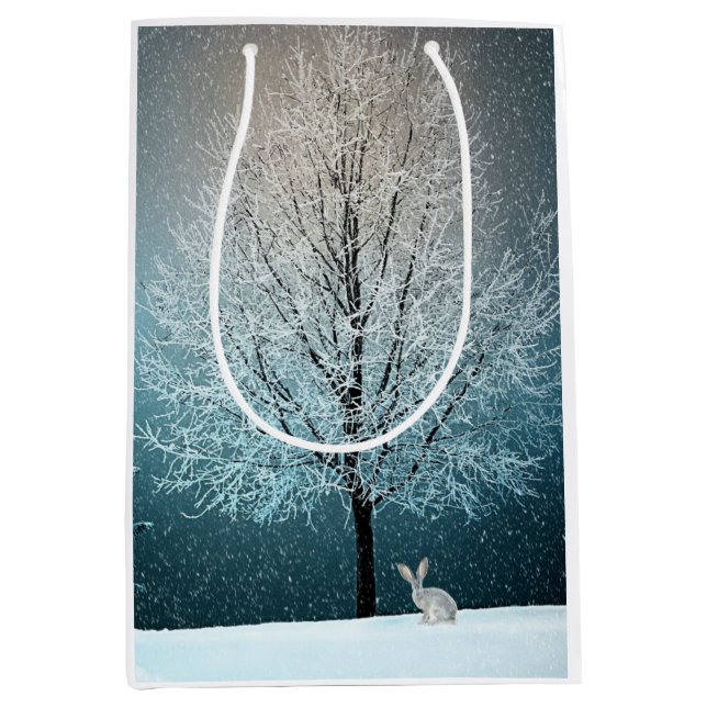 Sac Cadeau Moyen Scène hivernale (Devant)
