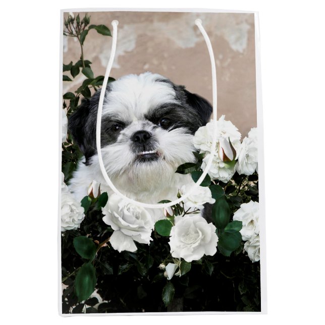 Sac Cadeau Moyen Shih noir et blanc Tzu (Devant)