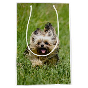 Sac Cadeau Moyen Terrier Yorkshire mignon Traversant L'Herbe