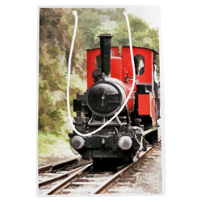 SAC CADEAU MOYEN TRAINS À VAPEUR (Devant)