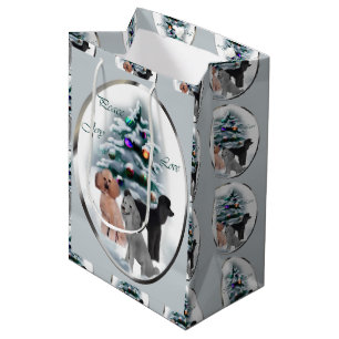 Sac Cadeau Moyen Trio de canicules Noël