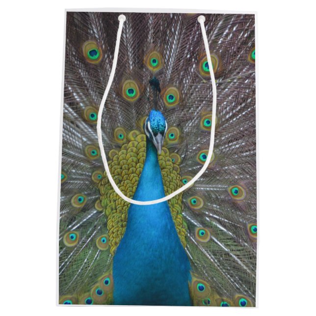 Sac Cadeau Moyen Un paon étonnant (Dos)