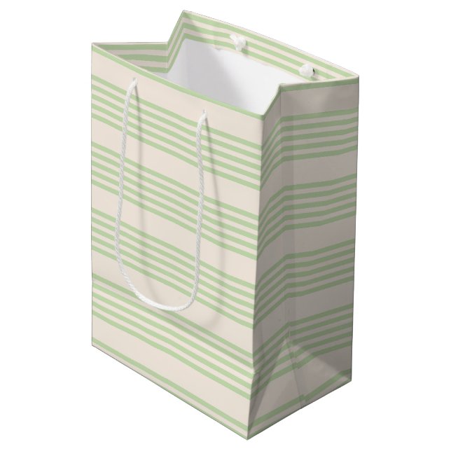 Sac Cadeau Moyen Vert pâle et beige cinq rayures motif (Devant Angle)