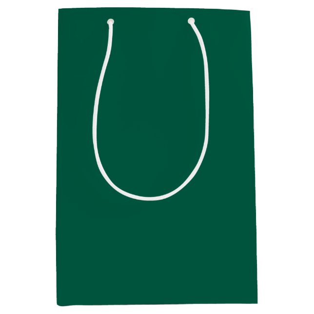Sac Cadeau Moyen Vert viridien solide (Devant)