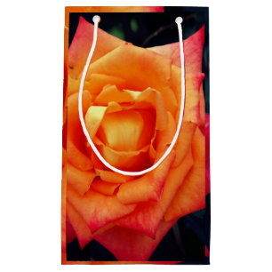 Sac cadeau Orange Rose photo