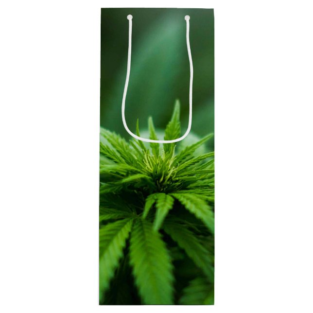 Sac Cadeau Pour Bouteille Beau Plante de mauvaises herbes (Devant)