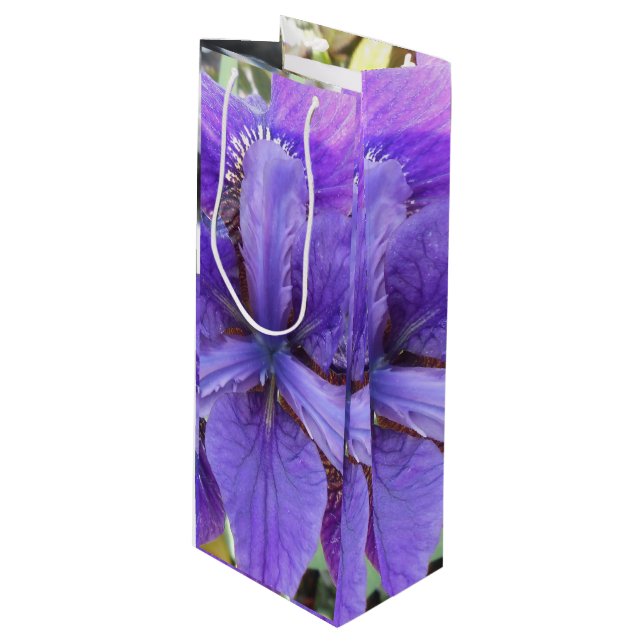 Sac Cadeau Pour Bouteille Brandeis (Devant Angle)