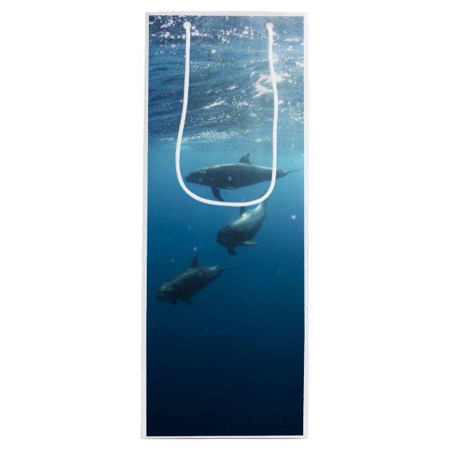 Sac Cadeau Pour Bouteille Famille Dolphin sous-marine (Devant)