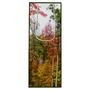 Sac Cadeau Pour Bouteille L'automne dans la forêt Photographie d'automne col