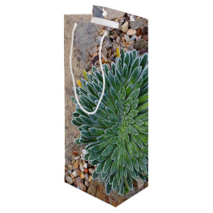 Sac Cadeau Pour Bouteille Succulent plante du désert