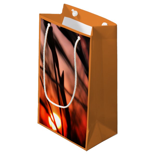Sac cadeau pour la fête du Soleil - Petit, brillan (Devant Angle)