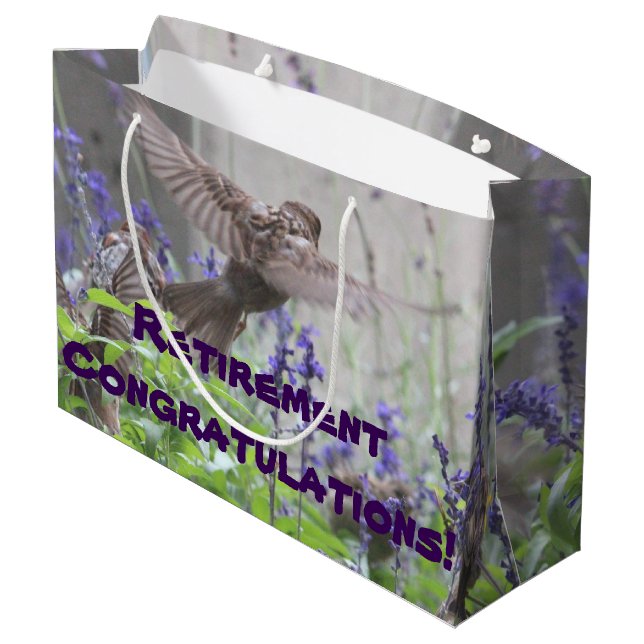 Sac cadeau retraite (Dos Angle)