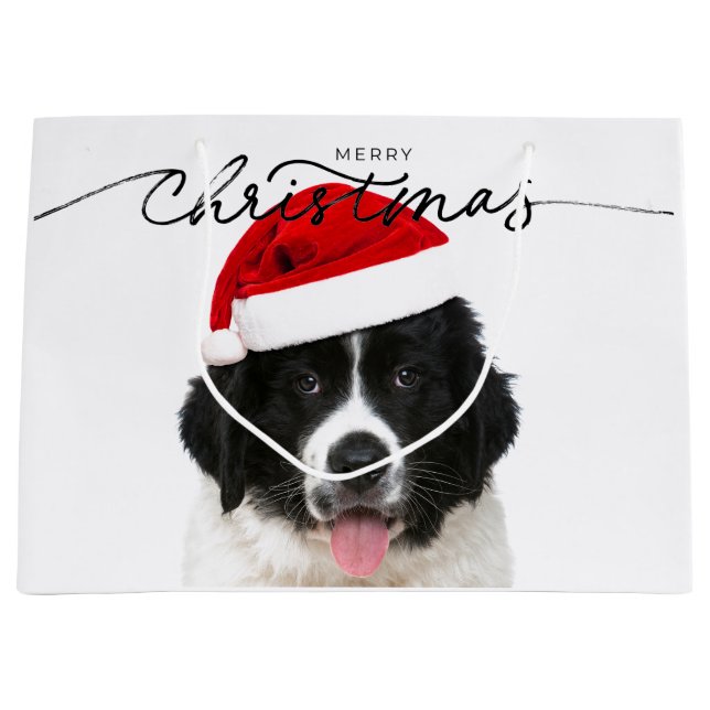SAC CADEAU ST BERNARD PUPPÉ AVEC SANTA HAT (Devant)