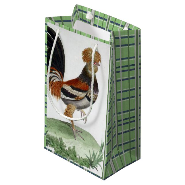 Sac cadeau Vert Oiseau Français (Devant Angle)