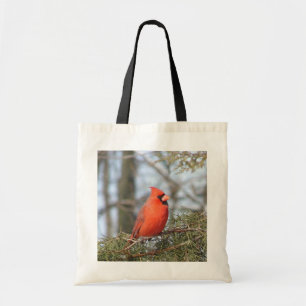Sac cardinal