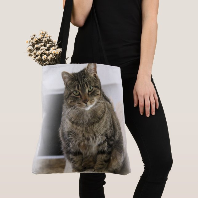 Sac d'alimentation Cat (De près)