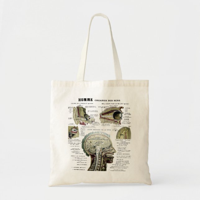 Sac d'anatomie français vintage (Devant)