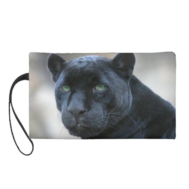 Sac de Bagettes (Dos)