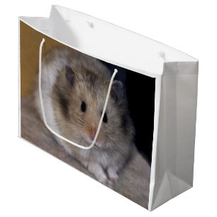 Sac de cadeau de Hammie