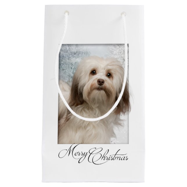 Sac de cadeau de Noël de Havanese (Devant)