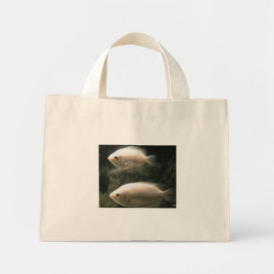 Sac de Fishiles