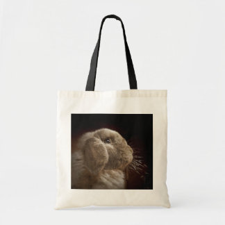 Sac de haricots