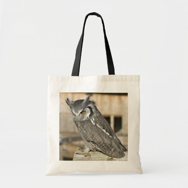 Sac de hibou de Scops (Devant)
