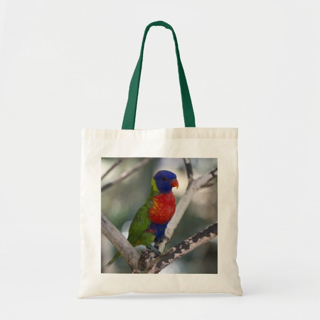 Sac de Lorikeet d'arc-en-ciel (Devant)