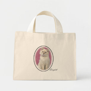Sac de Ragdoll