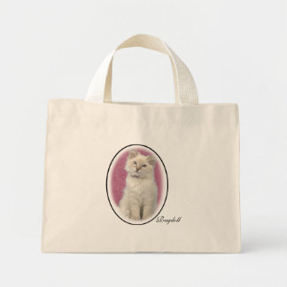 Sac de Ragdoll