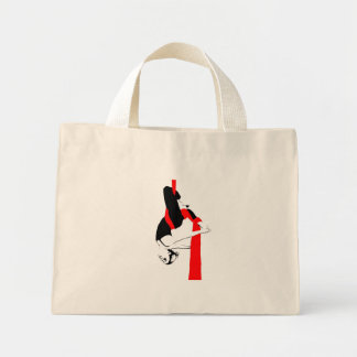 Sac de soie aérienne