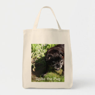Sac de transitoire