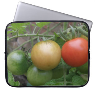 Sac d'ordinateur portable à tomates léger de circu