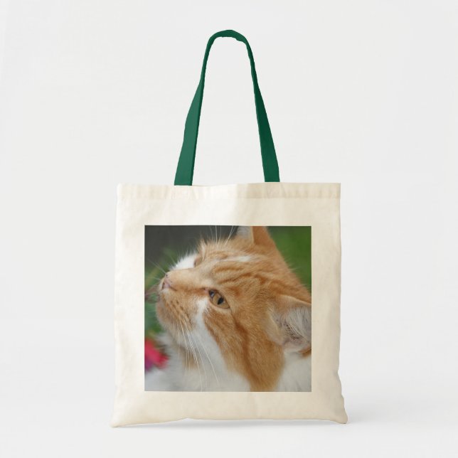 Sac fourre-tout à chat (Devant)