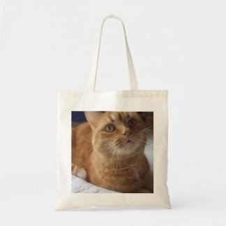 Sac fourre-tout à chat de gingembre