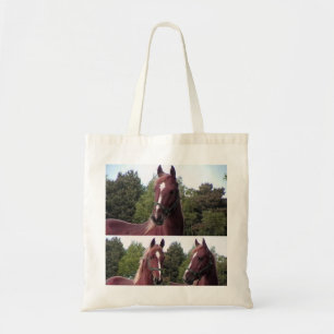 Sac fourre-tout à cheval