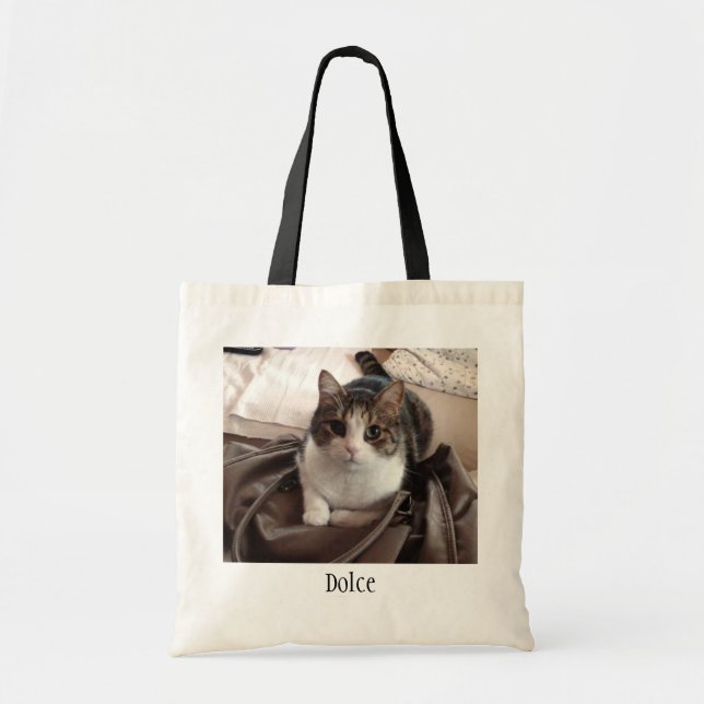 Sac fourre-tout à Dolce (Devant)