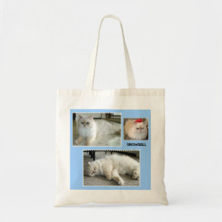 SAC FOURRE - TOUT À SNOWBALL