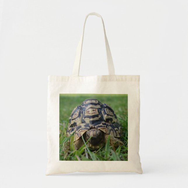 Sac fourre-tout à tortue (Devant)