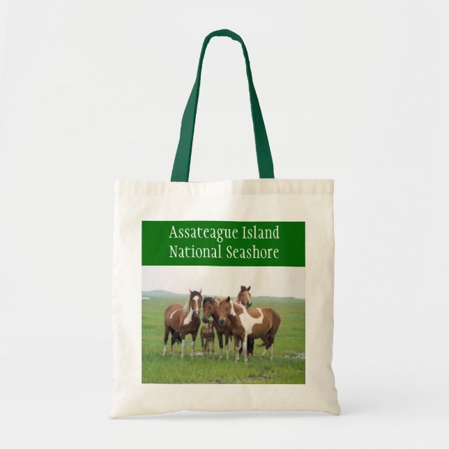 Sac fourre-tout de l'île d'Assateague (Devant)