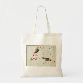 Sac fourre-tout de Poissons