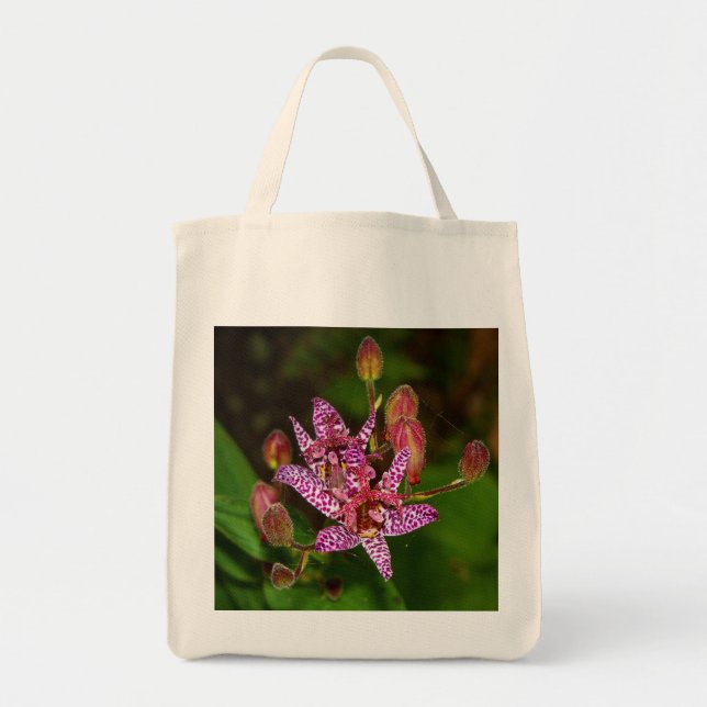 Sac fourre-tout de Toad Lily (Devant)