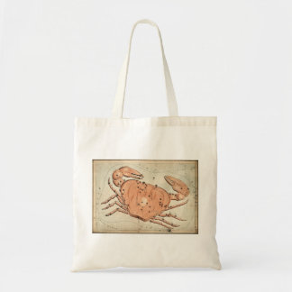 Sac fourre-tout du cancer du zodiaque