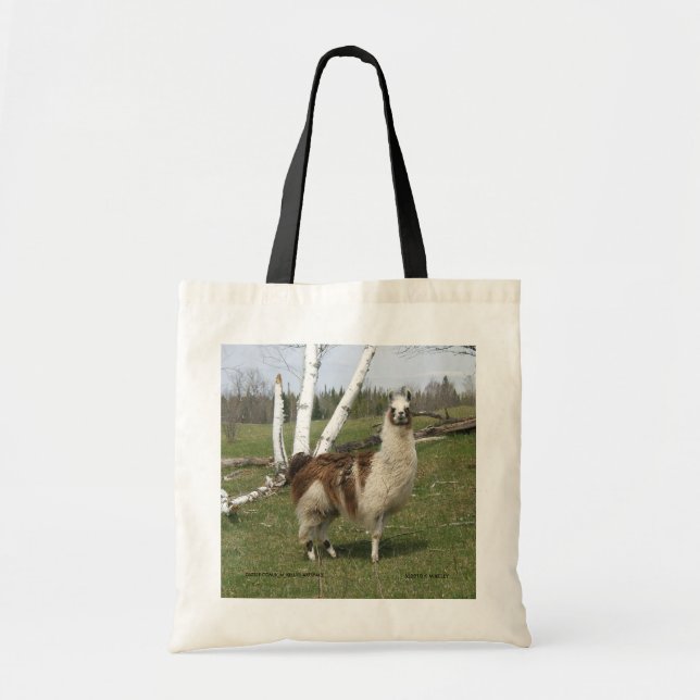 Sac Llama (Devant)
