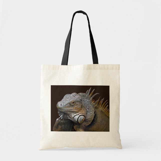 Sac Petit Dragon (Devant)
