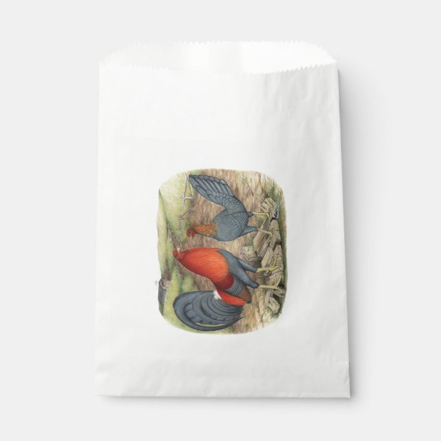 Sachets En Papier American Game Blue Reds (Devant)