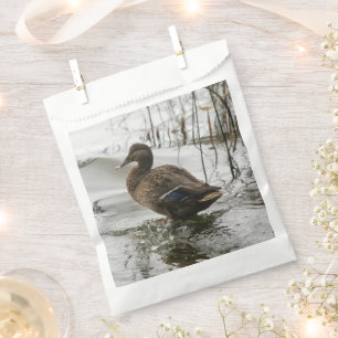 Sachets En Papier Canard gris sur la nuit du lac