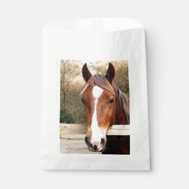 SACHETS EN PAPIER CHEVAUX (Devant)