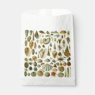 Sachets En Papier Coquillages de coquillages Mollusk Clam Élégant Ar