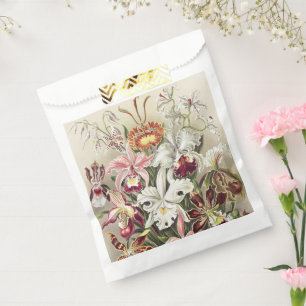 Sachets En Papier Impression botanique vintage d'orchidée par Ernst